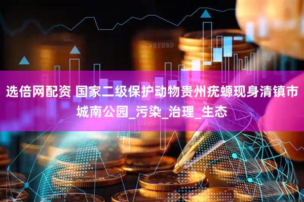 选倍网配资 国家二级保护动物贵州疣螈现身清镇市城南公园_污染_治理_生态
