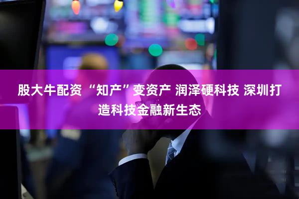 股大牛配资 “知产”变资产 润泽硬科技 深圳打造科技金融新生态