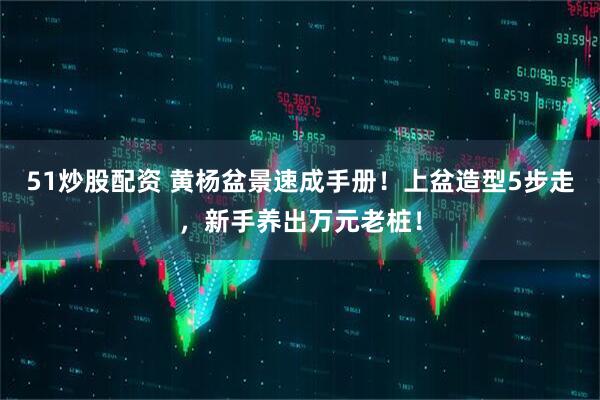 51炒股配资 黄杨盆景速成手册！上盆造型5步走，新手养出万元老桩！