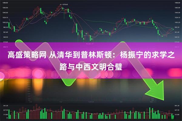 高盛策略网 从清华到普林斯顿：杨振宁的求学之路与中西文明合璧